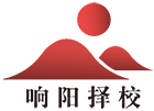 深圳市响阳择校咨询有限公司